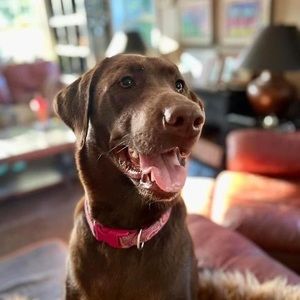 Meet your Posher, Erica